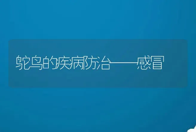 鸵鸟的疾病防治——感冒 | 特种养殖