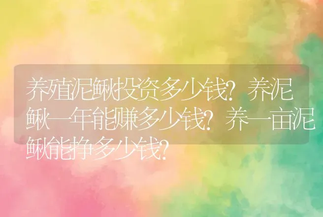 养殖泥鳅投资多少钱？养泥鳅一年能赚多少钱？养一亩泥鳅能挣多少钱? | 家禽养殖