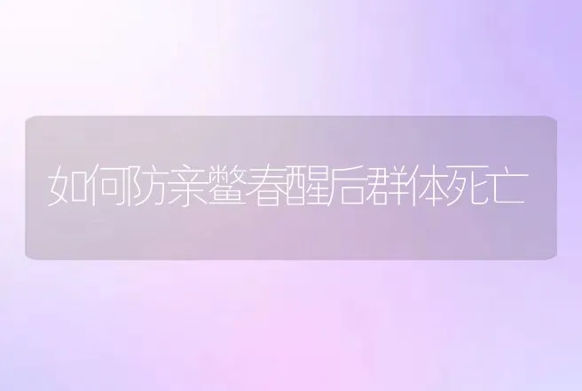 如何防亲鳖春醒后群体死亡 | 动物养殖