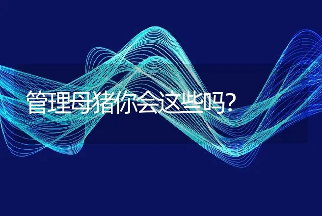 管理母猪你会这些吗？ | 动物养殖