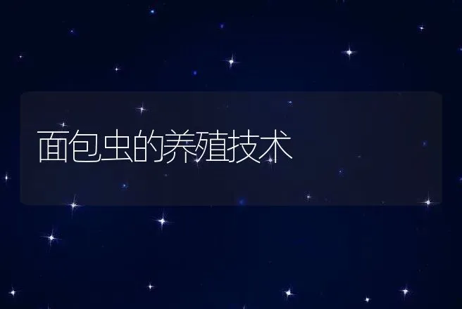 面包虫的养殖技术 | 特种养殖