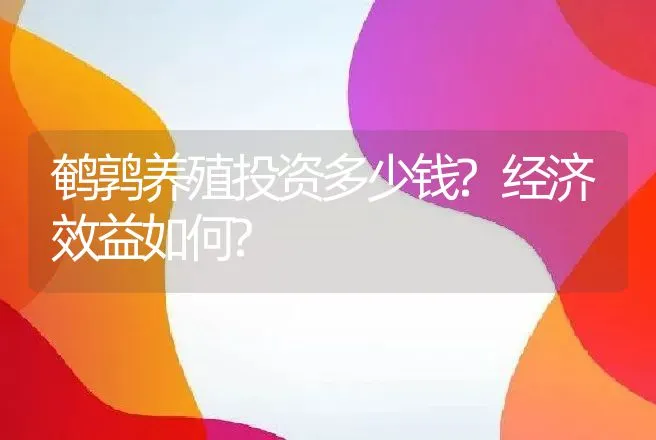 鹌鹑养殖投资多少钱?经济效益如何? | 养殖致富