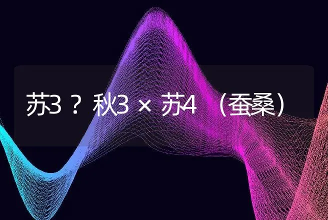 苏3?秋3×苏4（蚕桑） | 动物养殖