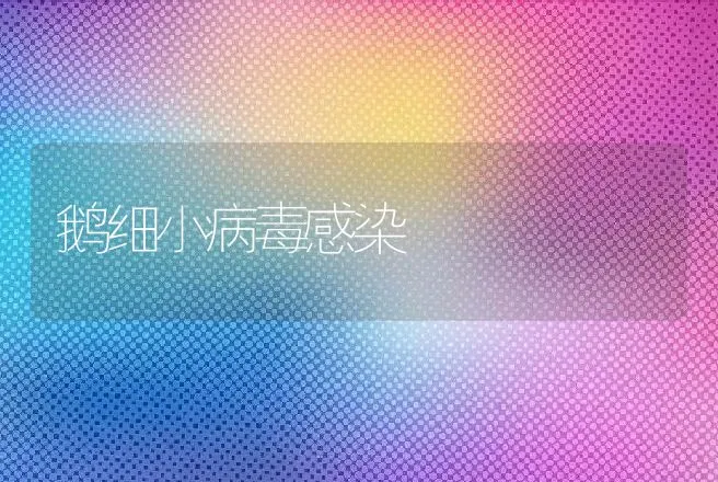 鹅细小病毒感染 | 动物养殖