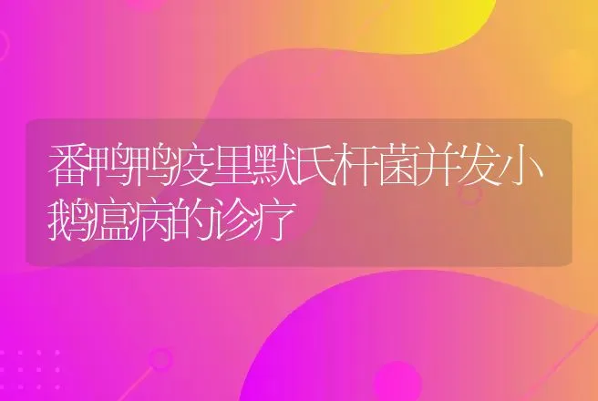 番鸭鸭疫里默氏杆菌并发小鹅瘟病的诊疗 | 家禽养殖