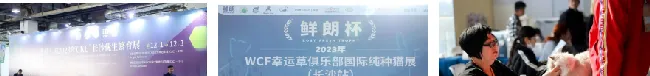 CPS·2024中部（长沙）宠物及水族产业博览会暨都市潮宠节邀请函 | 宠物百科知识