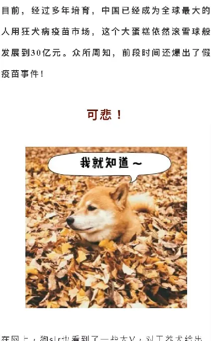 日本是怎么做到60年没有狂犬病的？ | 宠物行业洞察