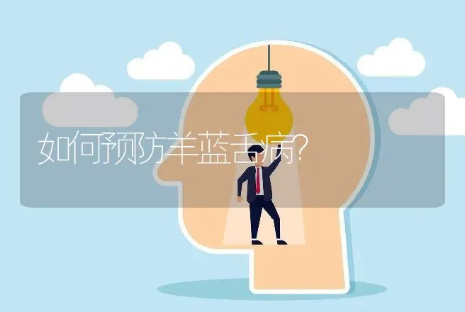 如何预防羊蓝舌病？ | 家畜养殖