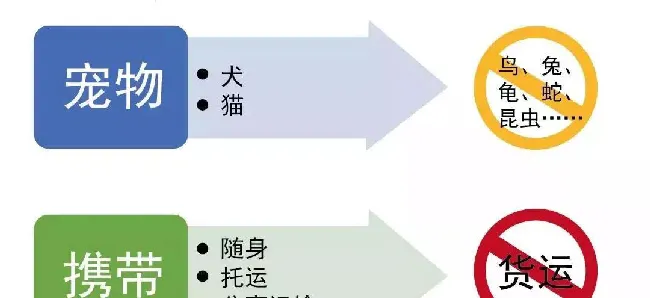 宠物入境新规实行3个月后，海关总署宣布了这些注意事项 | 宠物政策法规