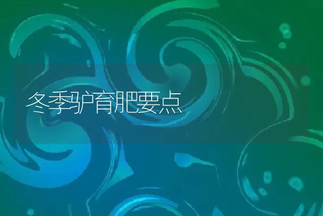 冬季驴育肥要点 | 特种养殖