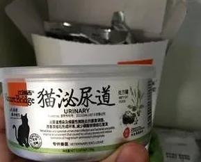 雄性蓝猫的尿道造口手术后需要注意哪些事项? | 宠物猫病虫害防治