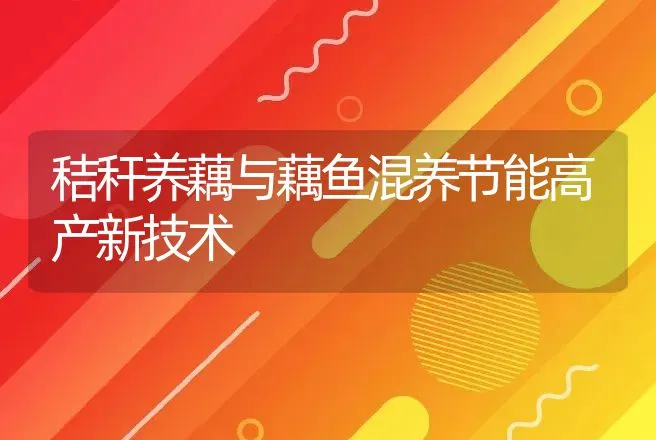 因水体制宜合理投放鱼种 | 动物养殖