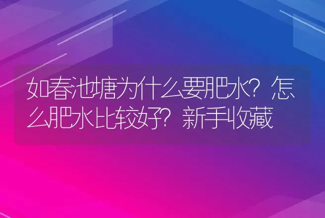 如春池塘为什么要肥水？怎么肥水比较好？新手收藏 | 水产知识