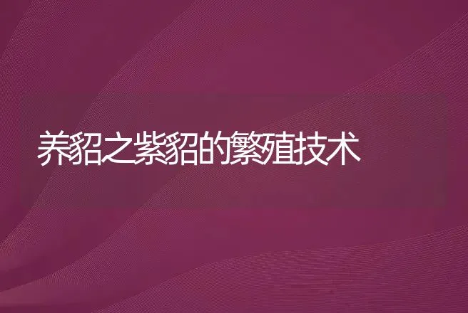 养貂之紫貂的繁殖技术 | 动物养殖