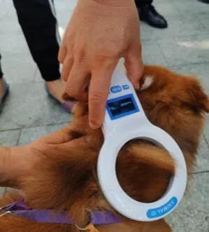 深圳犬只未植入芯片将被视为无证养犬! | 宠物新闻资讯