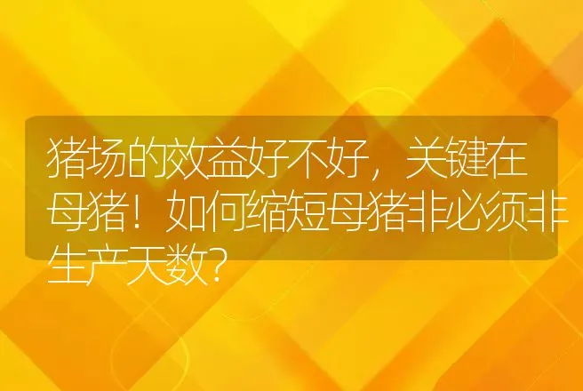 猪场的效益好不好，关键在母猪！如何缩短母猪非必须非生产天数？ | 家畜养殖