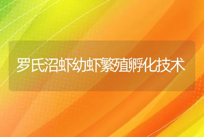 罗氏沼虾幼虾繁殖孵化技术 | 动物养殖