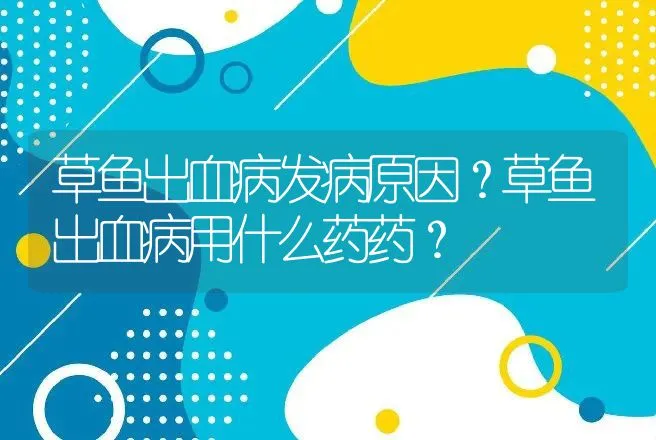 草鱼出血病发病原因？草鱼出血病用什么药药？ | 兽医知识大全