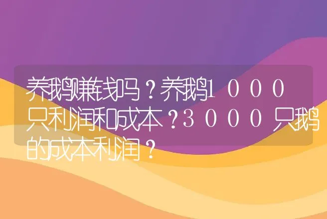 养鹅赚钱吗？养鹅1000只利润和成本？3000只鹅的成本利润？ | 养殖致富