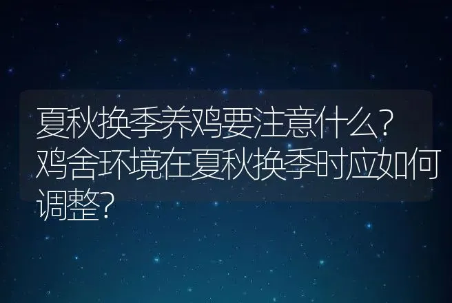 夏秋换季养鸡要注意什么？鸡舍环境在夏秋换季时应如何调整？ | 家禽养殖