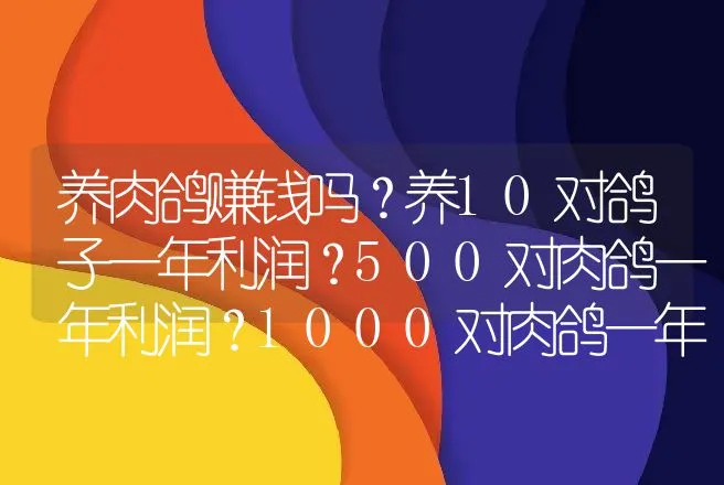 养肉鸽赚钱吗？养10对鸽子一年利润？500对肉鸽一年利润？1000对肉鸽一年利润？ | 养殖致富