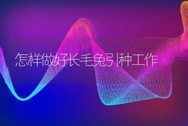 怎样做好长毛兔引种工作 | 动物养殖