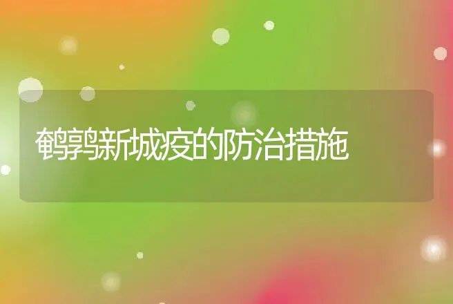 鹌鹑新城疫的防治措施 | 动物养殖