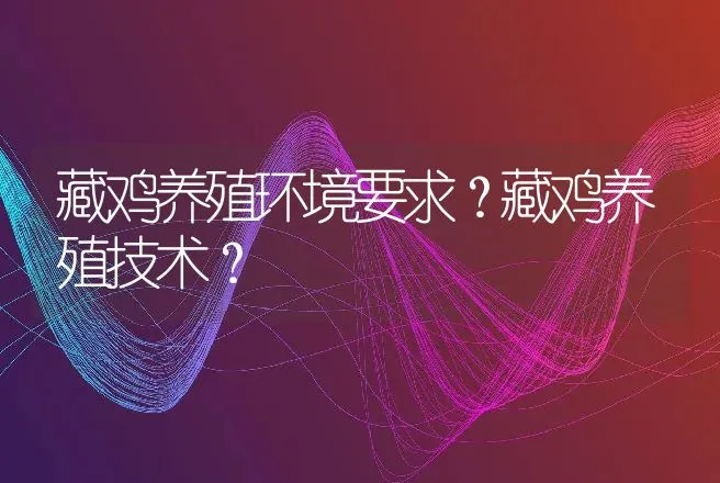 藏鸡养殖环境要求？藏鸡养殖技术？ | 家禽养殖