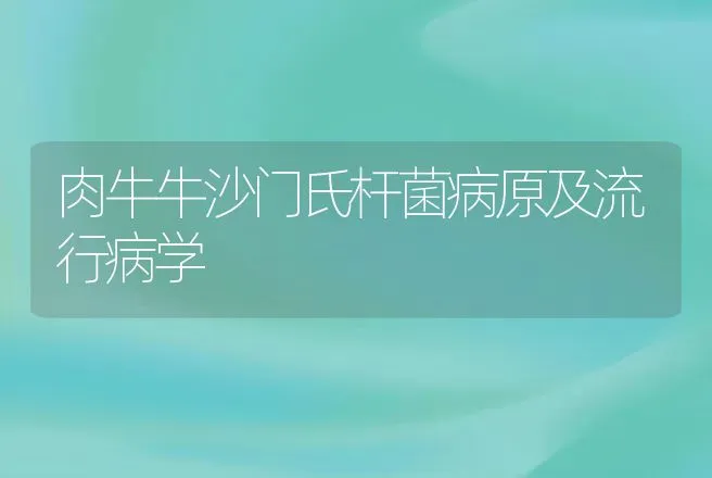 肉牛牛沙门氏杆菌病原及流行病学 | 动物养殖