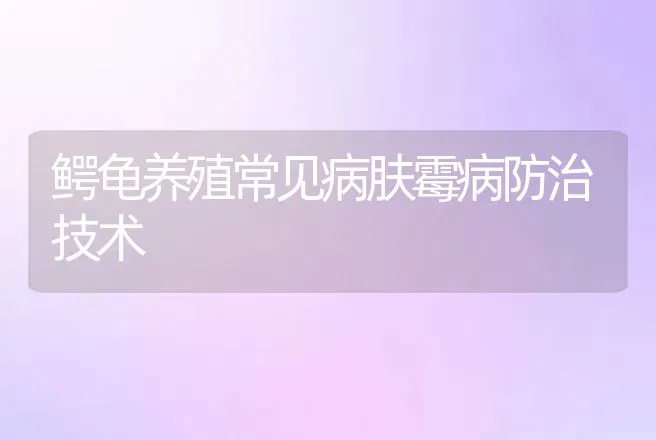 鳄龟养殖常见病肤霉病防治技术 | 动物养殖