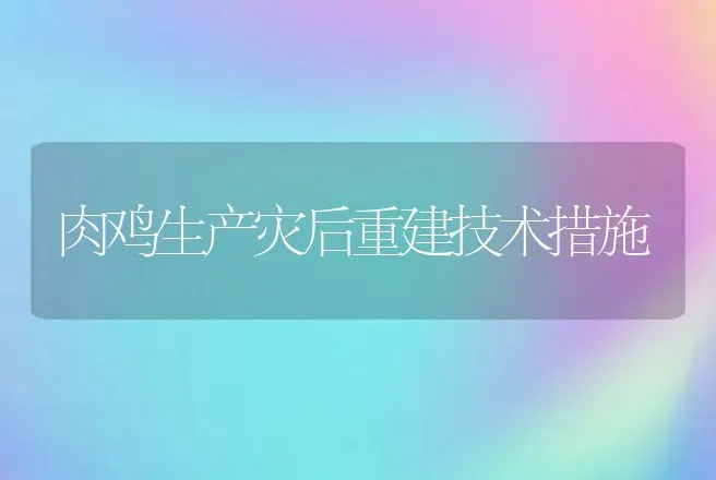 肉鸡生产灾后重建技术措施 | 动物养殖