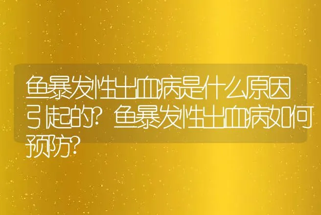 鱼暴发性出血病是什么原因引起的?鱼暴发性出血病如何预防? | 兽医知识大全