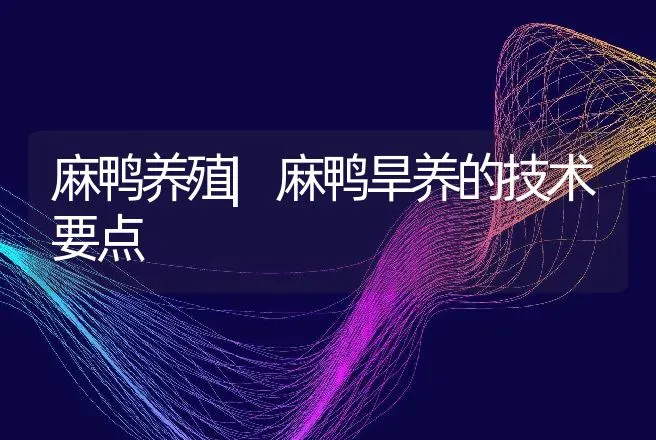 麻鸭养殖|麻鸭旱养的技术要点 | 家禽养殖