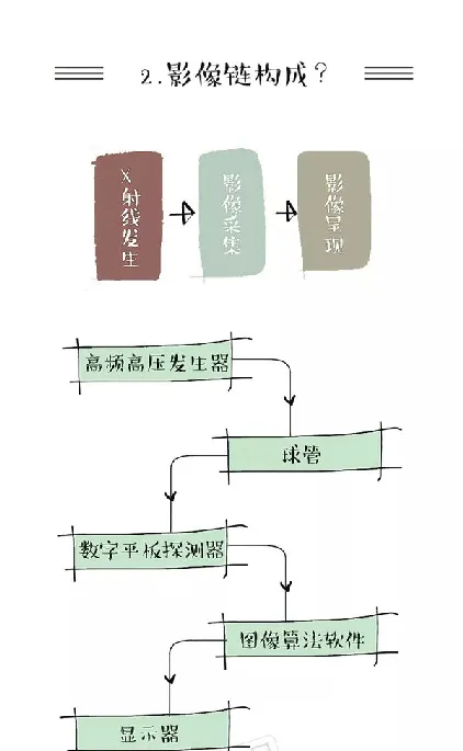 一分钟带你读懂宠物DR，细数90%医院的选购误区 | 宠物新闻资讯