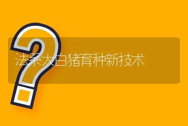 法系大白猪育种新技术 | 动物养殖