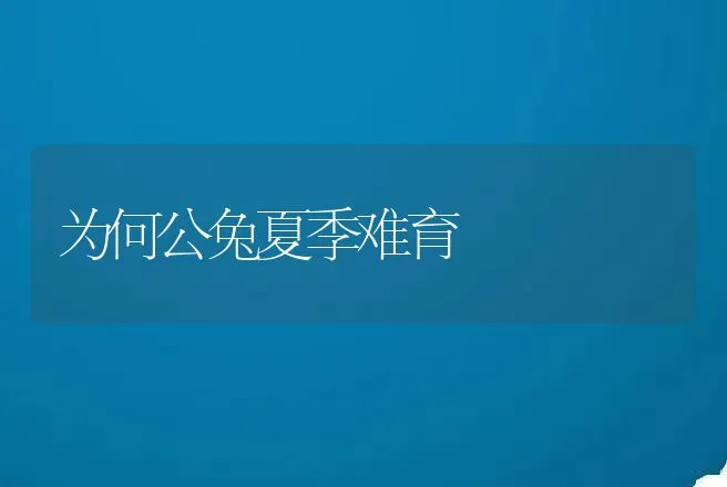 为何公兔夏季难育 | 动物养殖