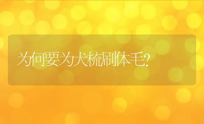 为何要为犬梳刷体毛? | 宠物训练技巧