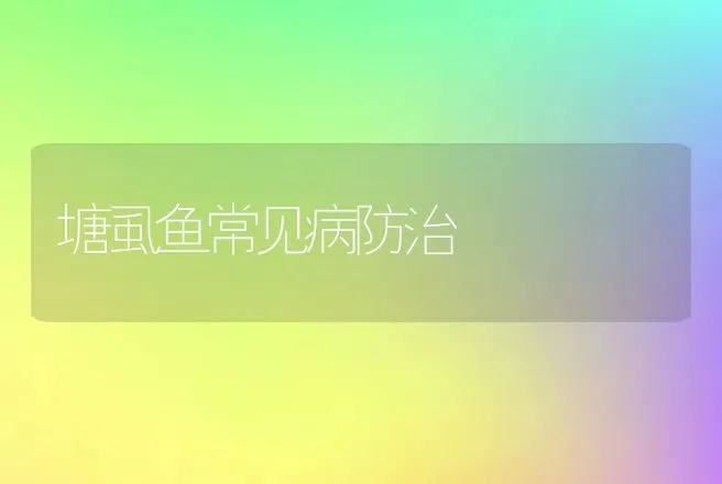 塘虱鱼常见病防治 | 动物养殖