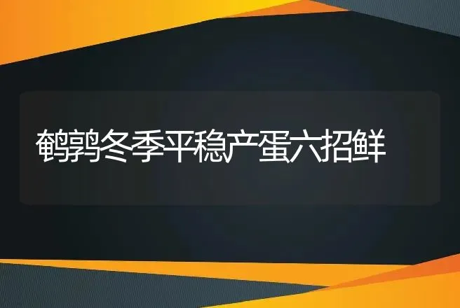 鹌鹑冬季平稳产蛋六招鲜 | 动物养殖