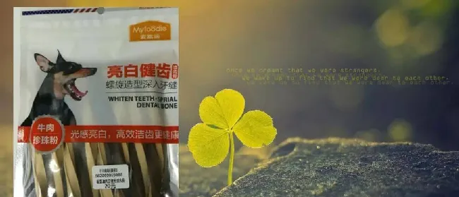 深度剖析 | A股唯二的宠物食品公司解析 | 宠物行业洞察