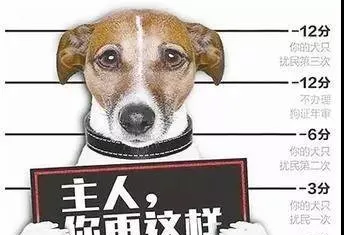 金华养犬新规本月底正式实施！这些狗都不能养了，否则…… | 宠物政策法规