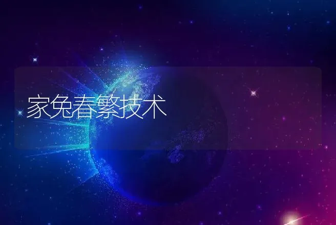 家兔春繁技术 | 动物养殖