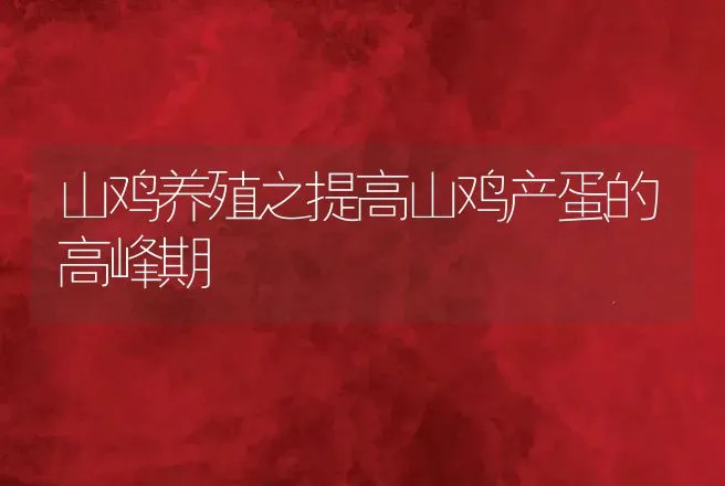 山鸡养殖之提高山鸡产蛋的高峰期 | 动物养殖