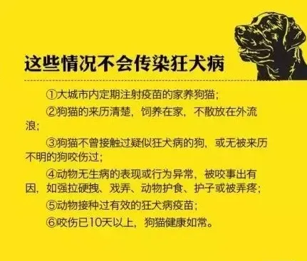 几张图教你了解狂犬病 | 宠物新闻资讯