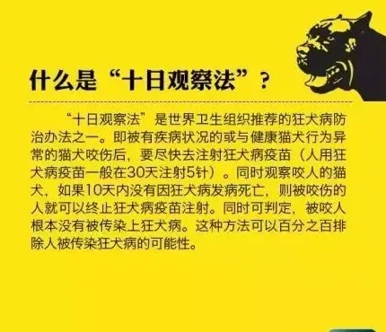 几张图教你了解狂犬病 | 宠物新闻资讯