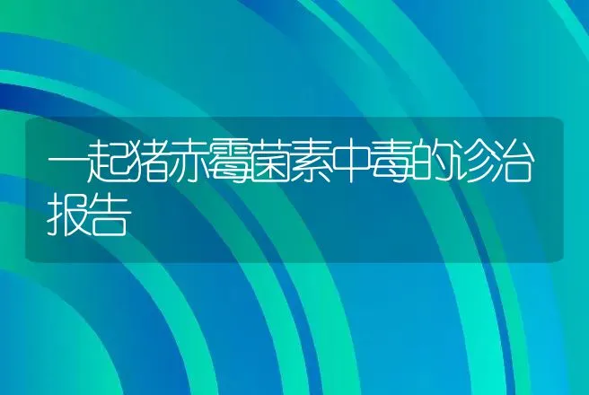 水族箱铺设底砂饲养龙鱼的优点与缺点 | 动物养殖