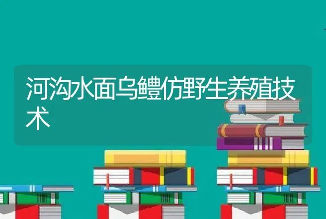 河沟水面乌鳢仿野生养殖技术 | 动物养殖