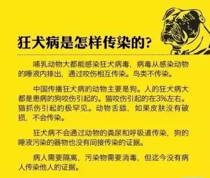 几张图教你了解狂犬病 | 宠物新闻资讯