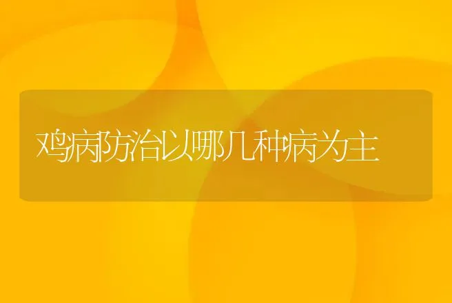 鸡病防治以哪几种病为主 | 兽医知识大全