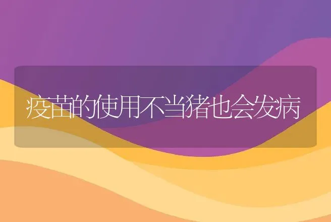 疫苗的使用不当猪也会发病 | 动物养殖